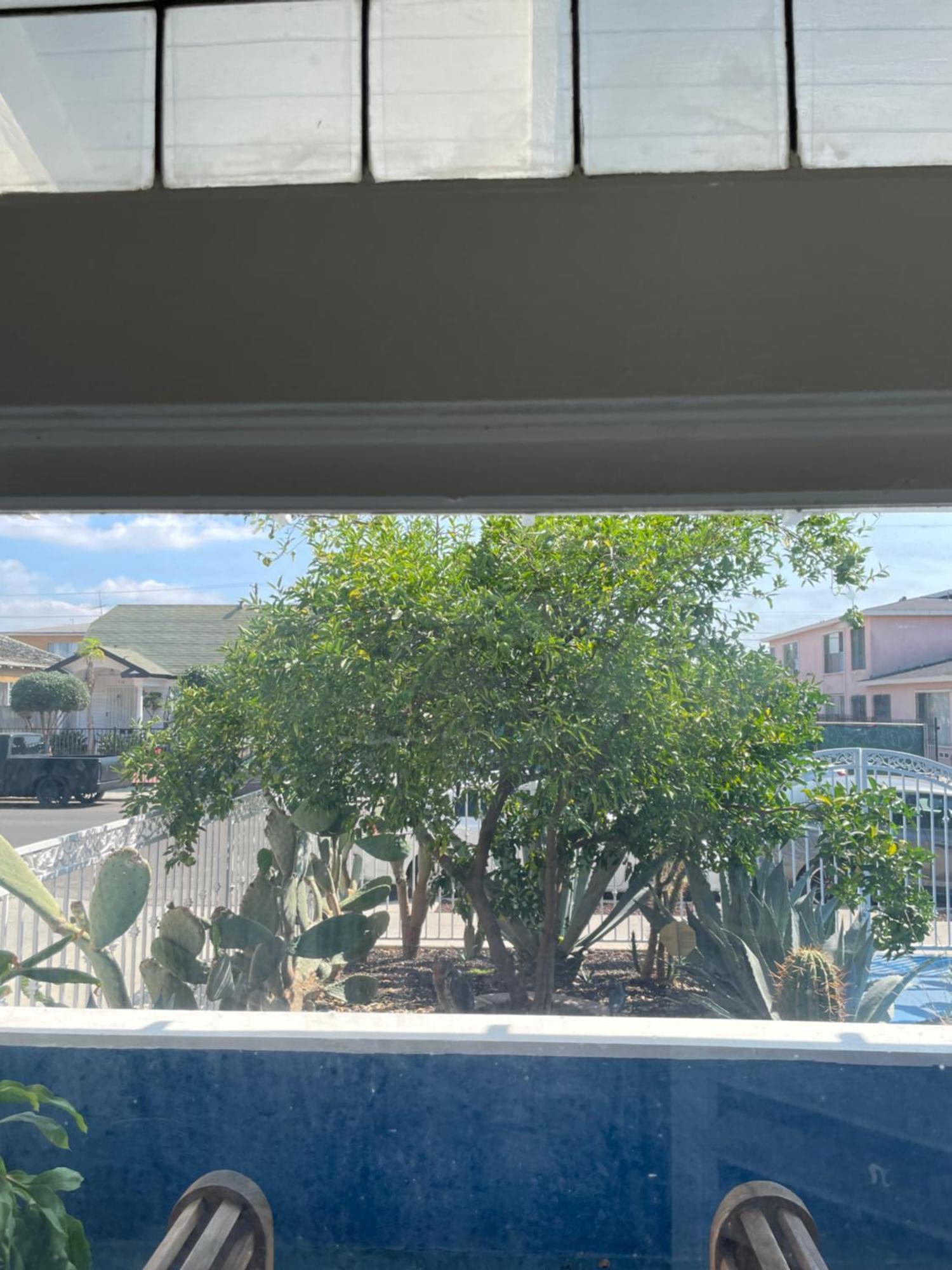Spacious Private Angeles Bedroom With Ac & Wifi & Private Fridge Near Usc The Coliseum Exposition Park Bmo Stadium Of Southern California * Los Angeles