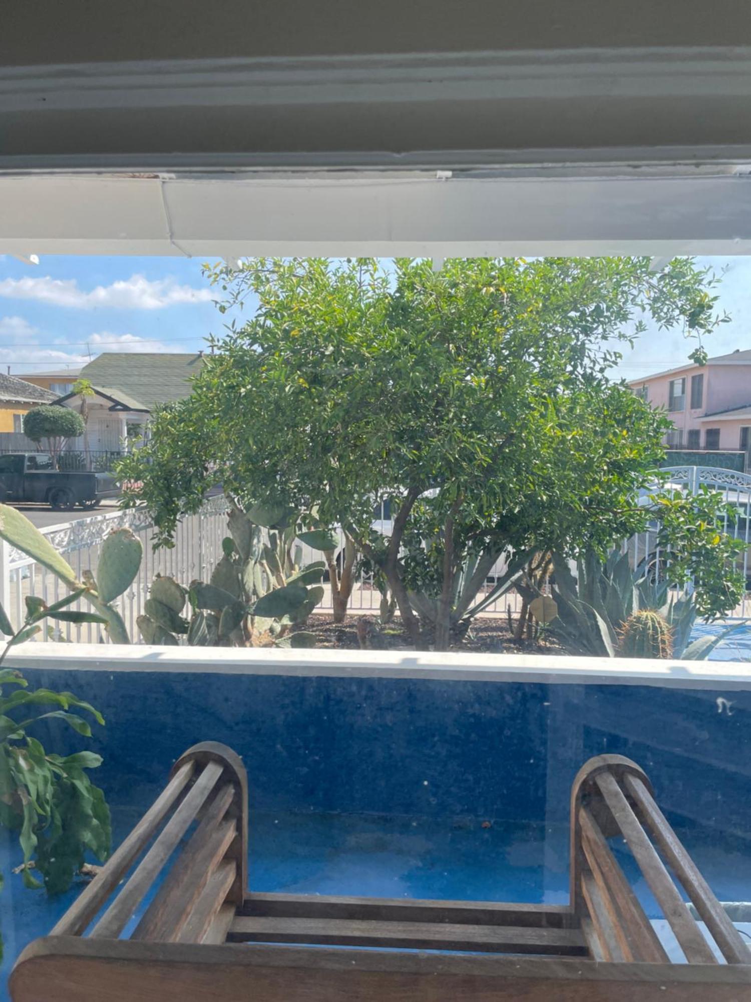 Spacious Private Angeles Bedroom With Ac & Wifi & Private Fridge Near Usc The Coliseum Exposition Park Bmo Stadium Of Southern California * Los Angeles